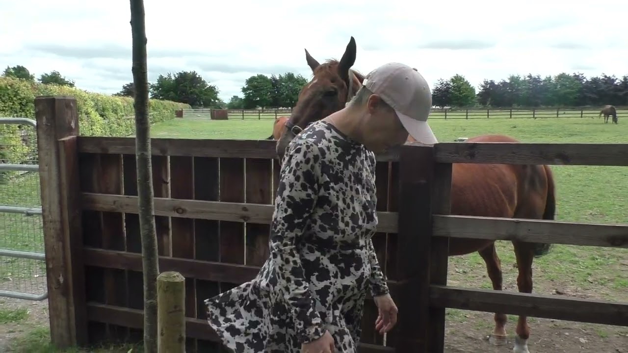 TRIBUTE TO HARDY EUSTACE, The Most Memorable Moments with Hardy Eustace, video 1