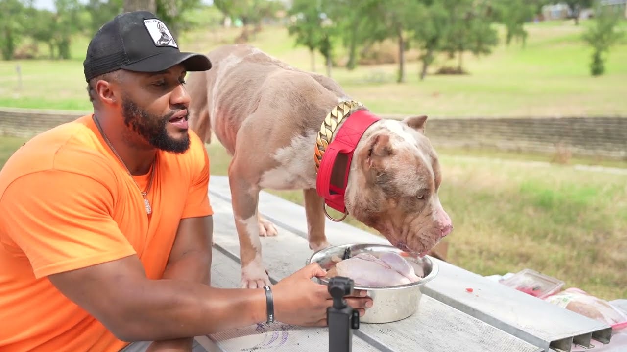 Top Summer Foods for Fit & Healthy Dogs!