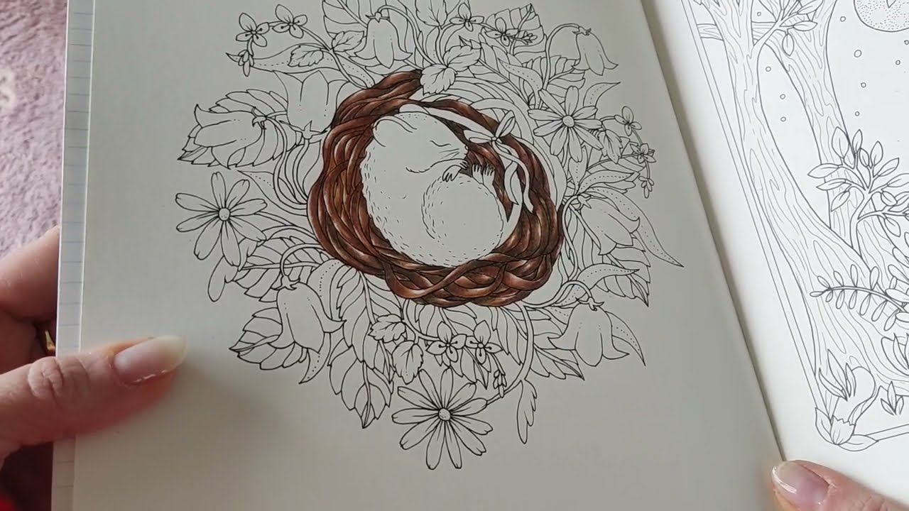 Adult coloring - my completed pages for the past months and week 😃