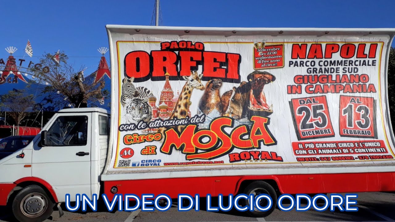 Circo Royal 