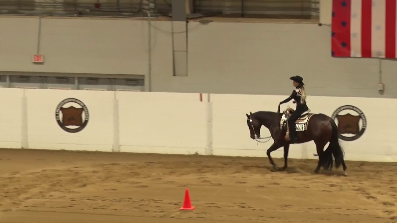 181026L1 Amateur Western Riding Madison Nirenstein on No Doubt Im Trouble