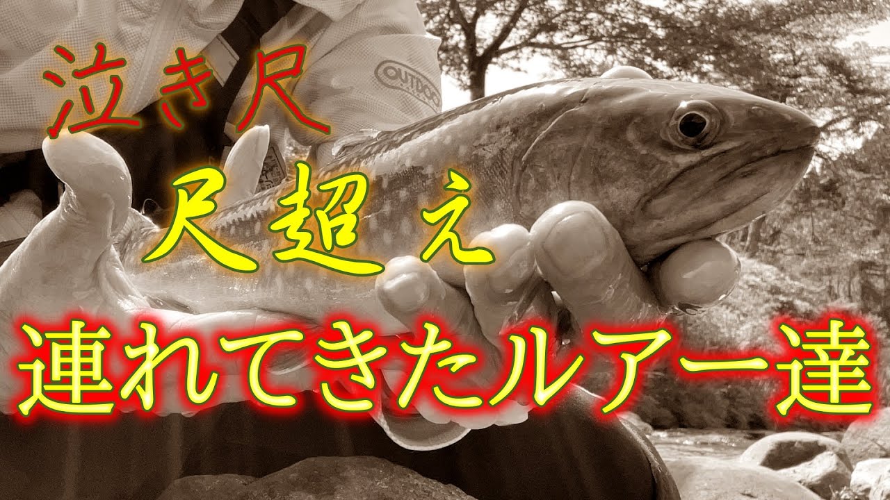 泣き尺、尺イワナを連れてきたルアー達！おすすめのミノー7種！ラクス、もののふ、激似中華ルアーでも釣れるって話！渓流釣りでバラさないSacana Hook（サカナフック）も！フロントフックはいらない理由