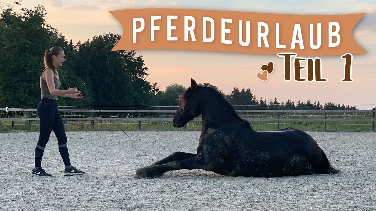 WIR FAHREN AUF URLAUB | Ankunft, Reitstunde & Traktortraining 🚜 Teil 1 | Pilsali