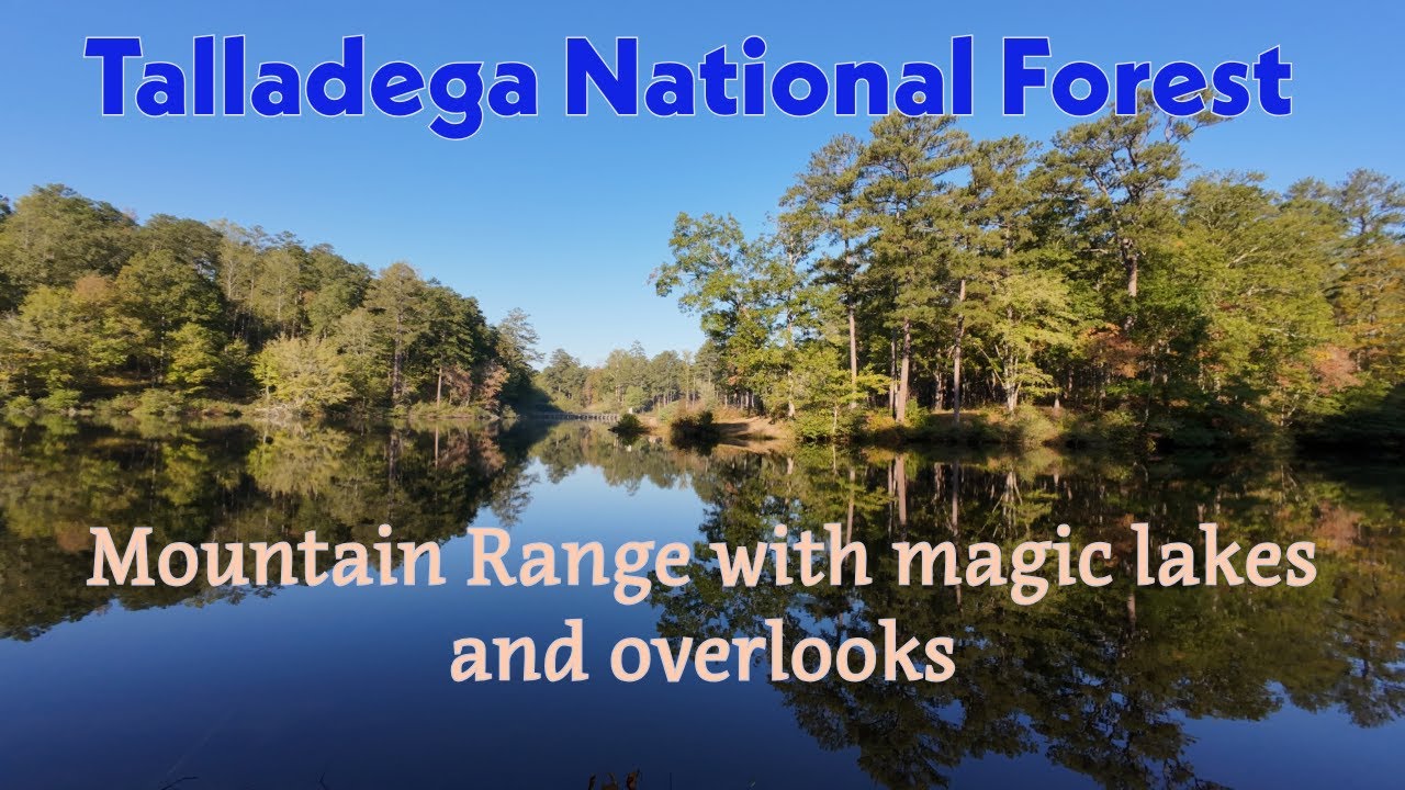 Choccolocco Wildlife and State Forest | Alabama