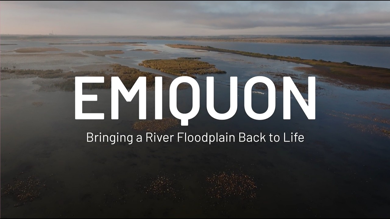 Emiquon Video Illinois