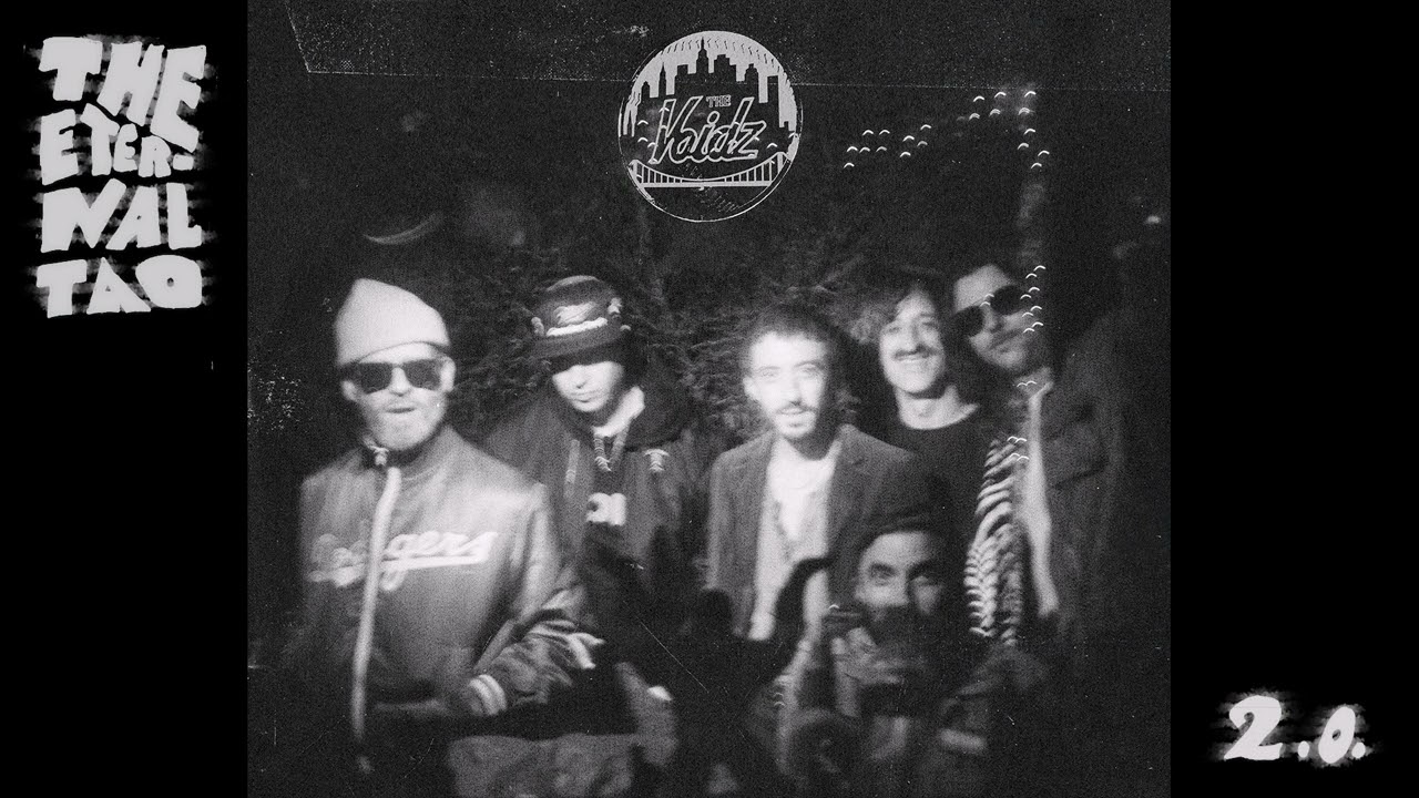 The Voidz - 