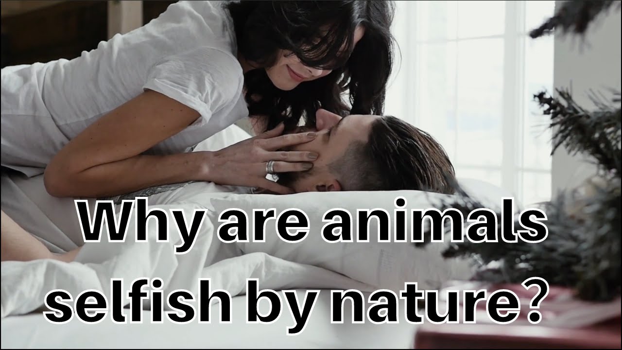 Why are animals selfish by nature？