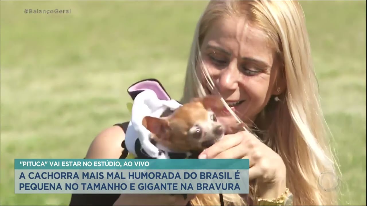Cadela faz sucesso na internet com o seu 