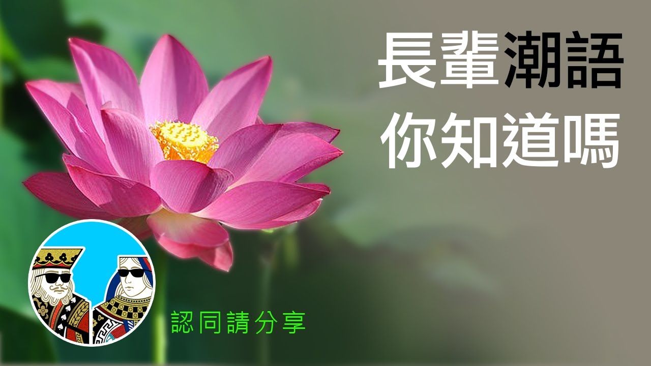 [廣東話] 俚語/諺語，通俗過癮?! ｜閒聊之王- 粵語文化傳承，長輩潮語/後現代潮語(繁體 中字)