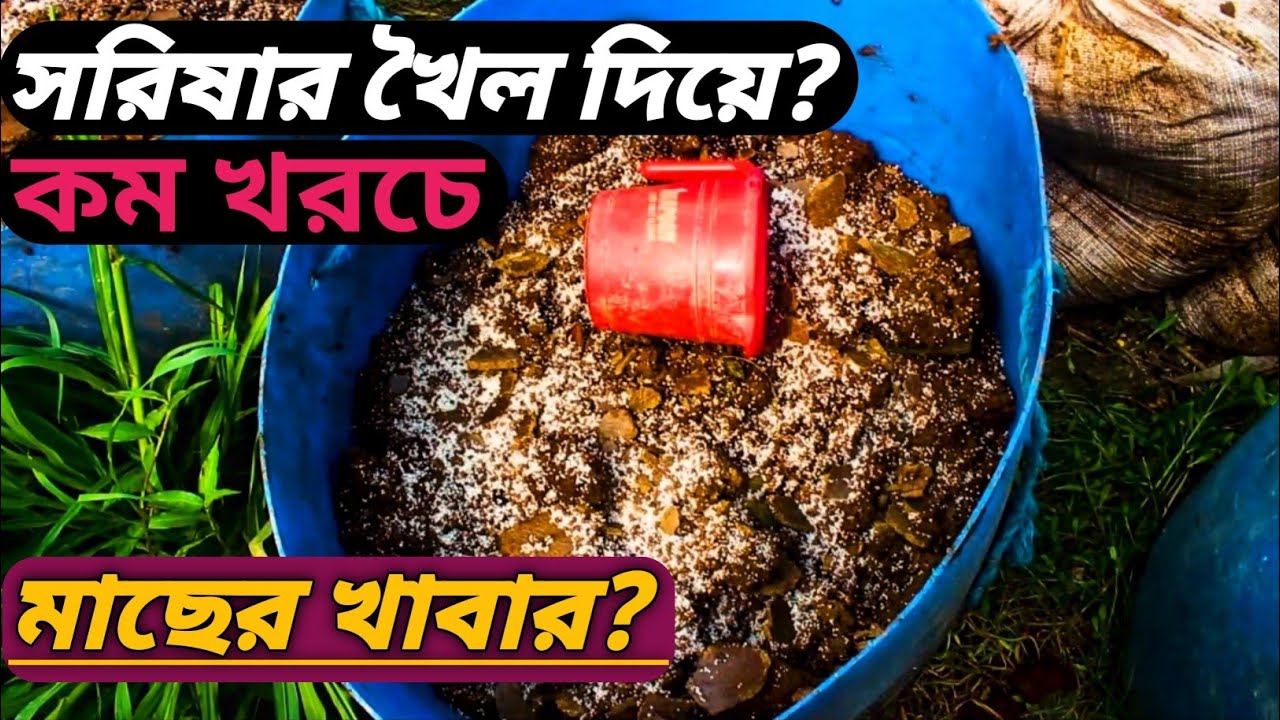 সরিষার খৈল দিয়ে কম খরচে মাছের খাবার।