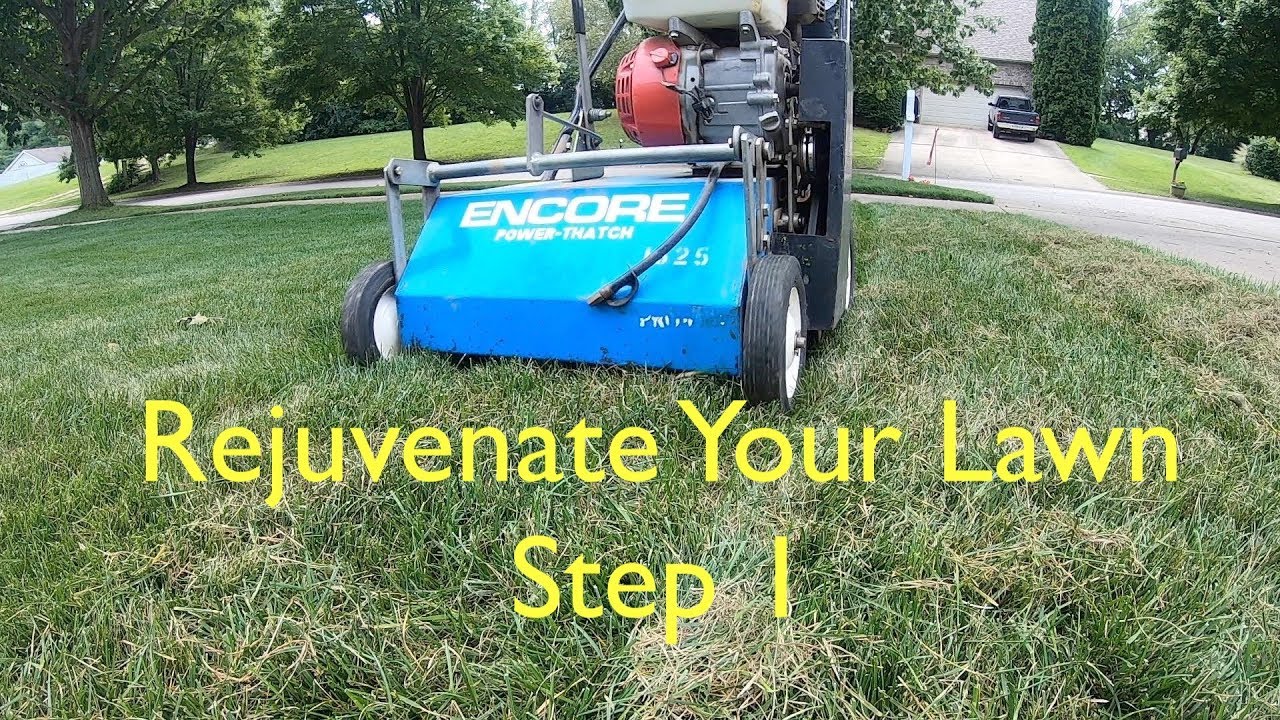 How to POWER RAKE your lawn | Fall Rehab Step 1