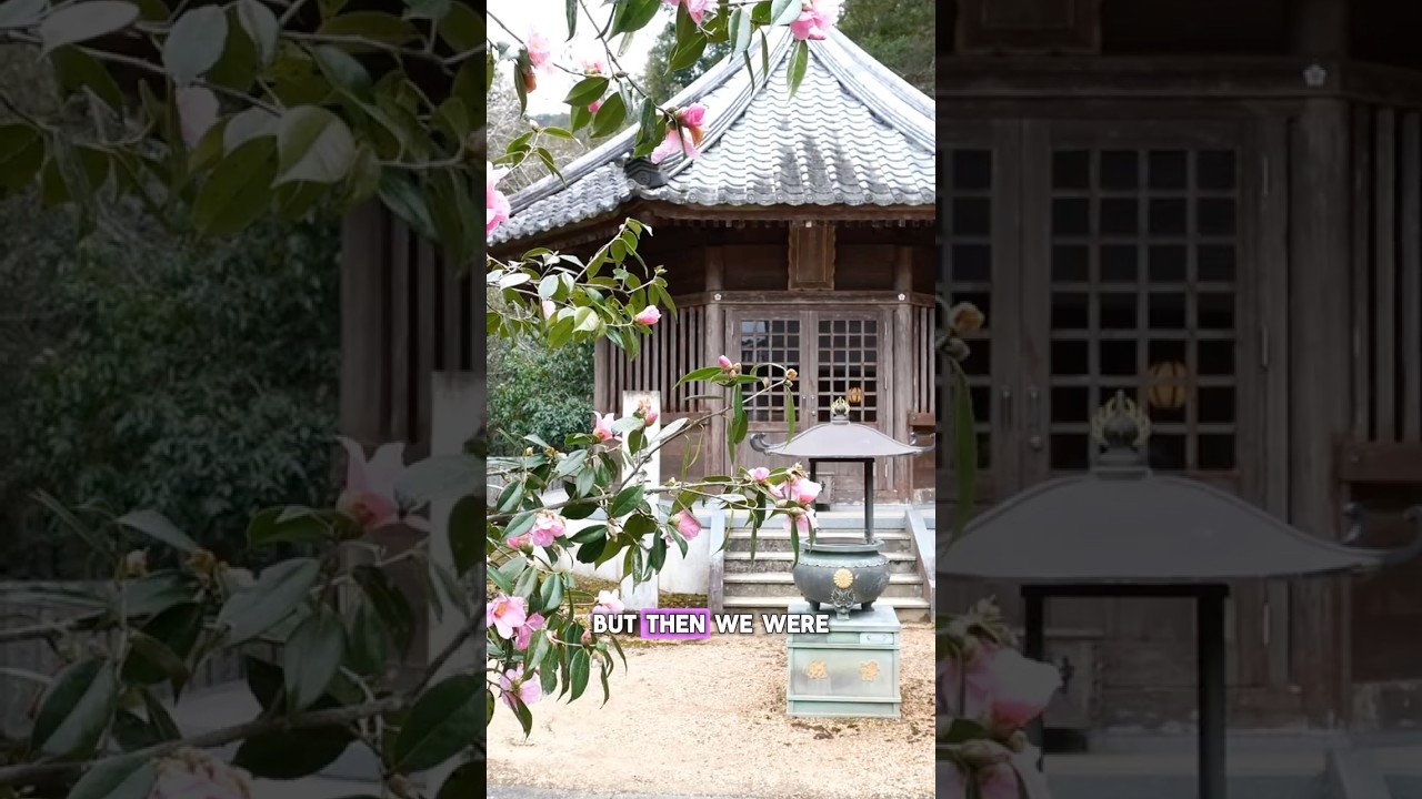 Is this the most beautiful temple in Shikoku? | Day 3 on the 88 Temple Pilgrimage #japan #pilgrimage