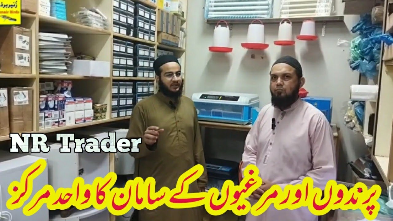 پرندوں اور مرغیوں کے سامان کا واحد مرکز |NR Trader| zunair birds
