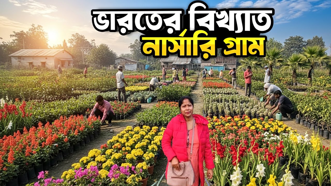 ভারতের সবচেয়ে বড় নার্সারী গ্রাম | India's largest nursery village |biggest nursery village Hooghly