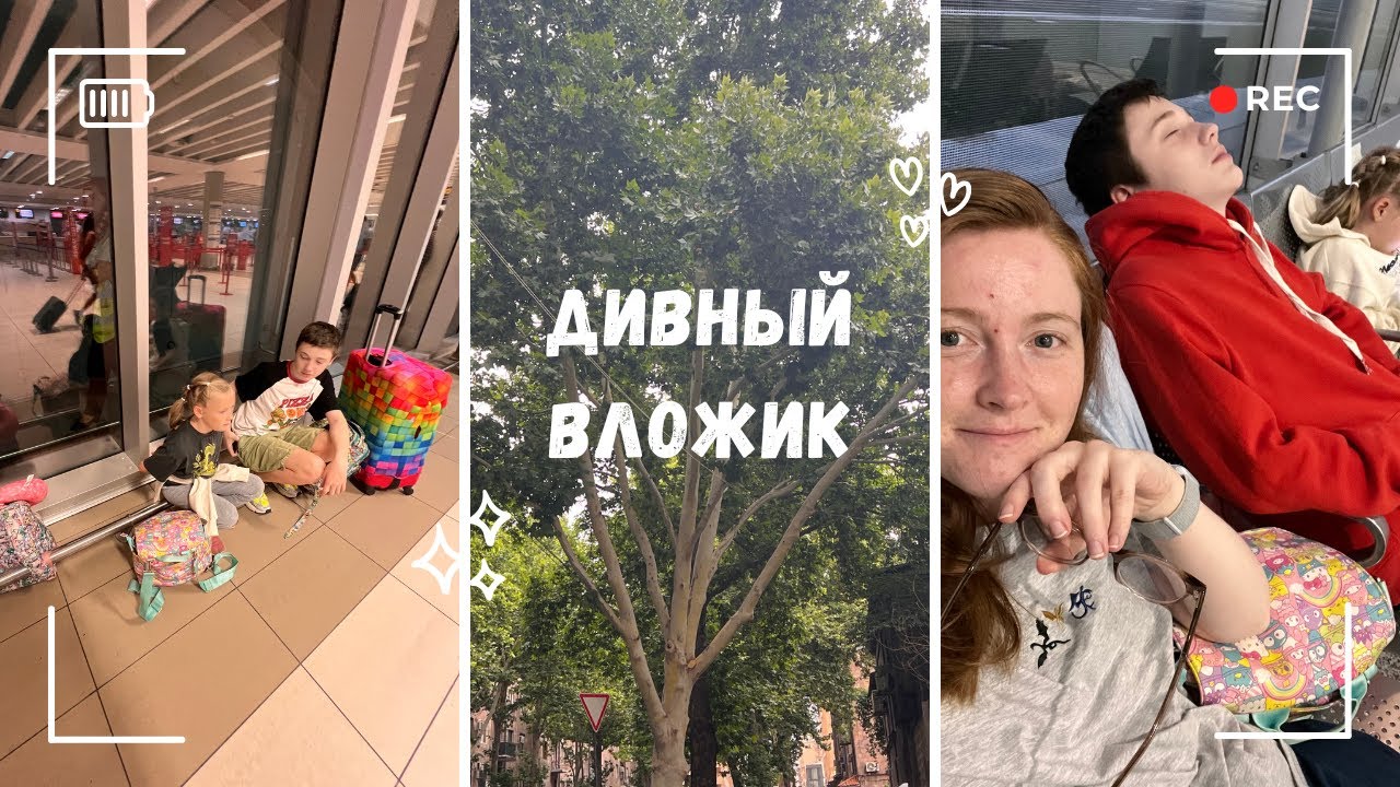 цветы с помойки / vlog