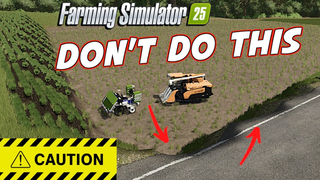 Rice Field Tips You NEED To Know NOW
