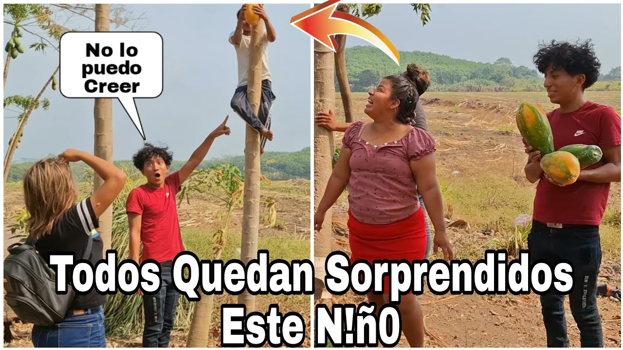 🔴Ever Asombrado Ver Este N!ñ0 Con Grndes abilidades😱Subirse arriba de una papayas