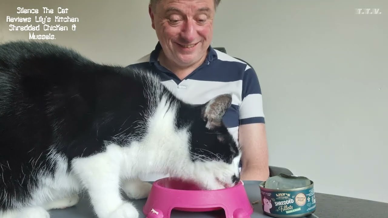Silence The Cat Reviews Lily's Kitchen Shredded Chicken and Mussels Borth