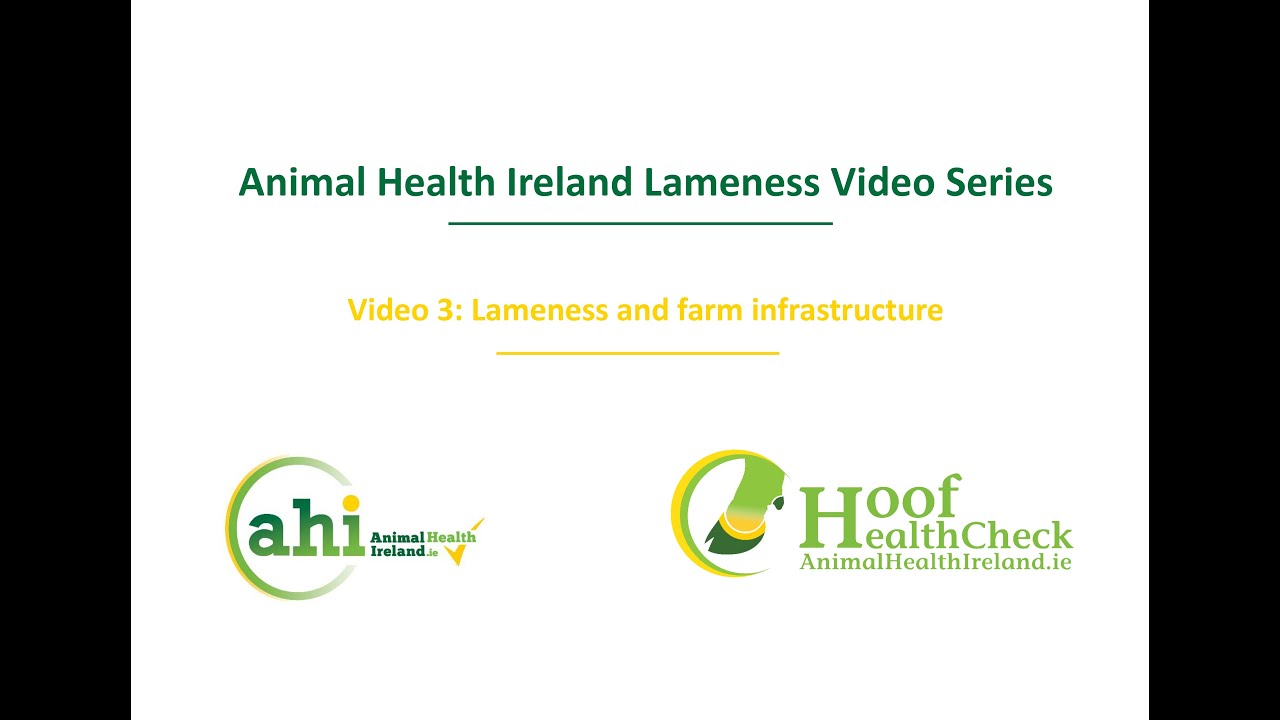 Lameness and farm infrastructure
