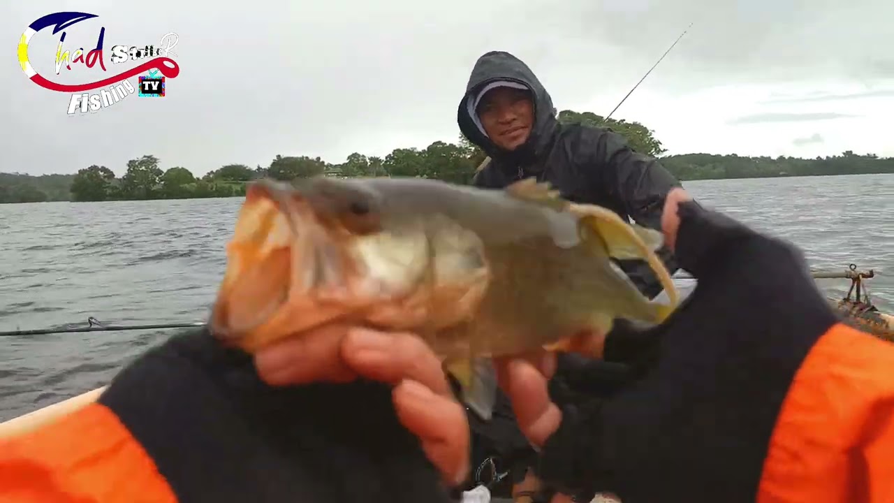 Lumot lake cavinti Laguna || Kitib ng Telapia ||  LargeMouth bass fishing #LumotLakefishingTrip