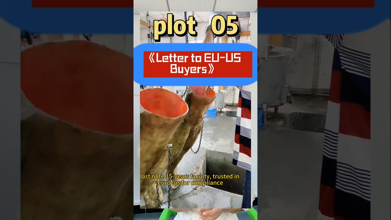 #siliconedoll