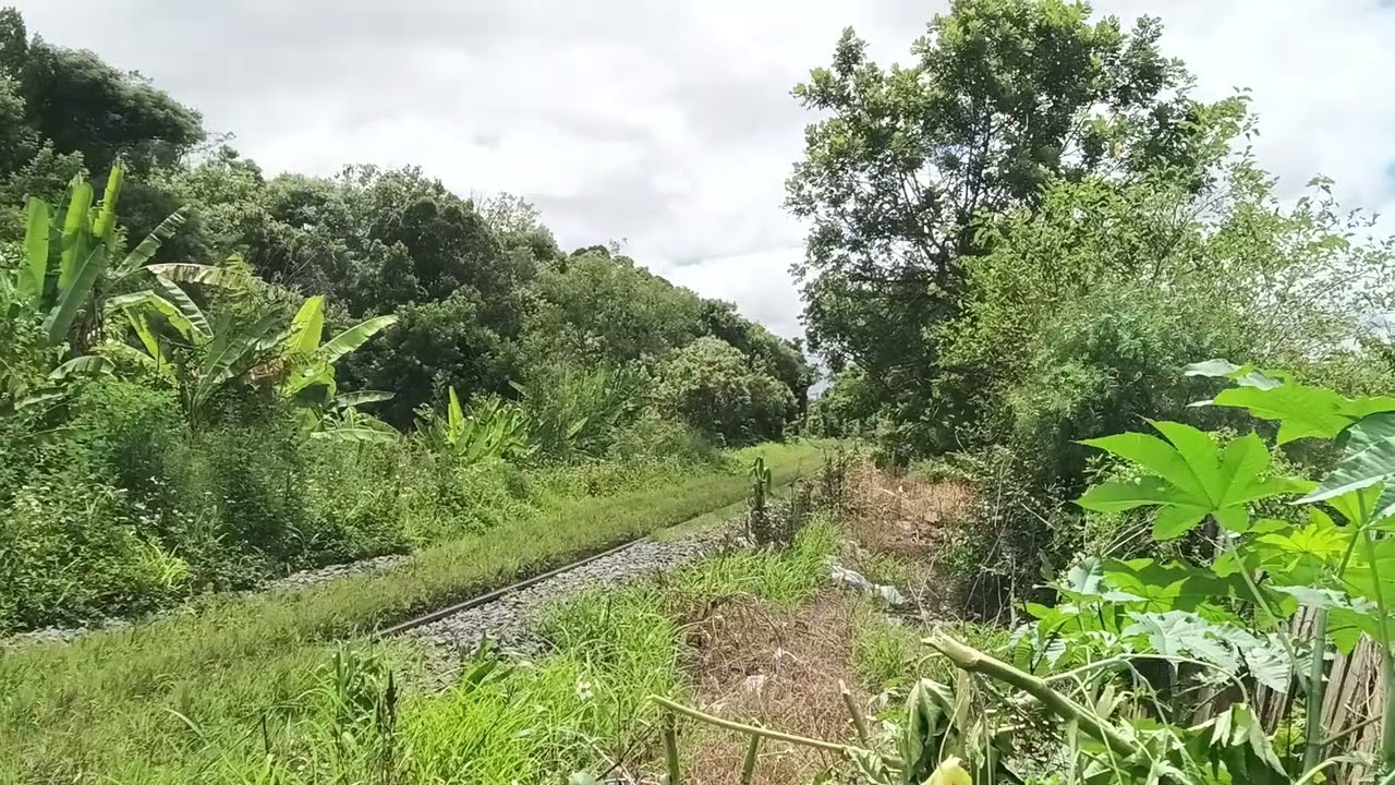 locomotiva SD40 vagão de brita vagão prancha de madeira 