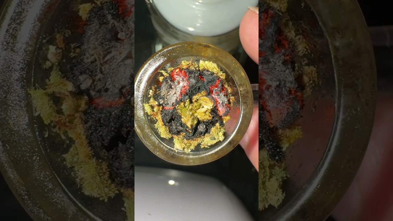 THE LUNG BUSTER #cannabiseducation #thcareview #weedchannel #weed