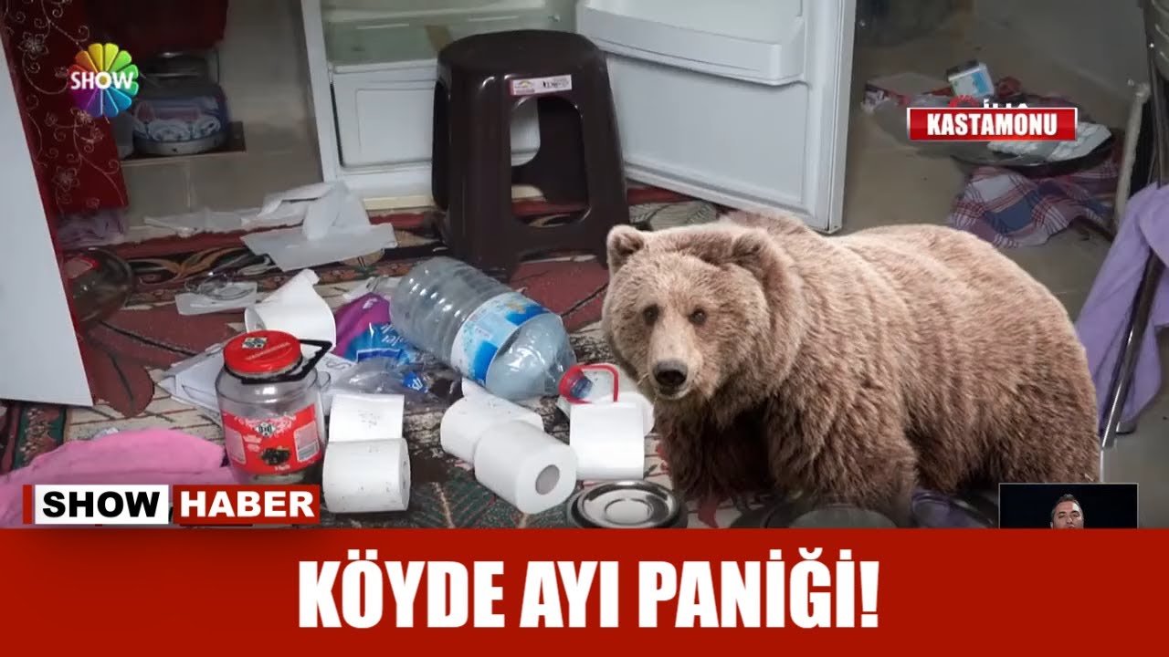Köyde ayı paniği!