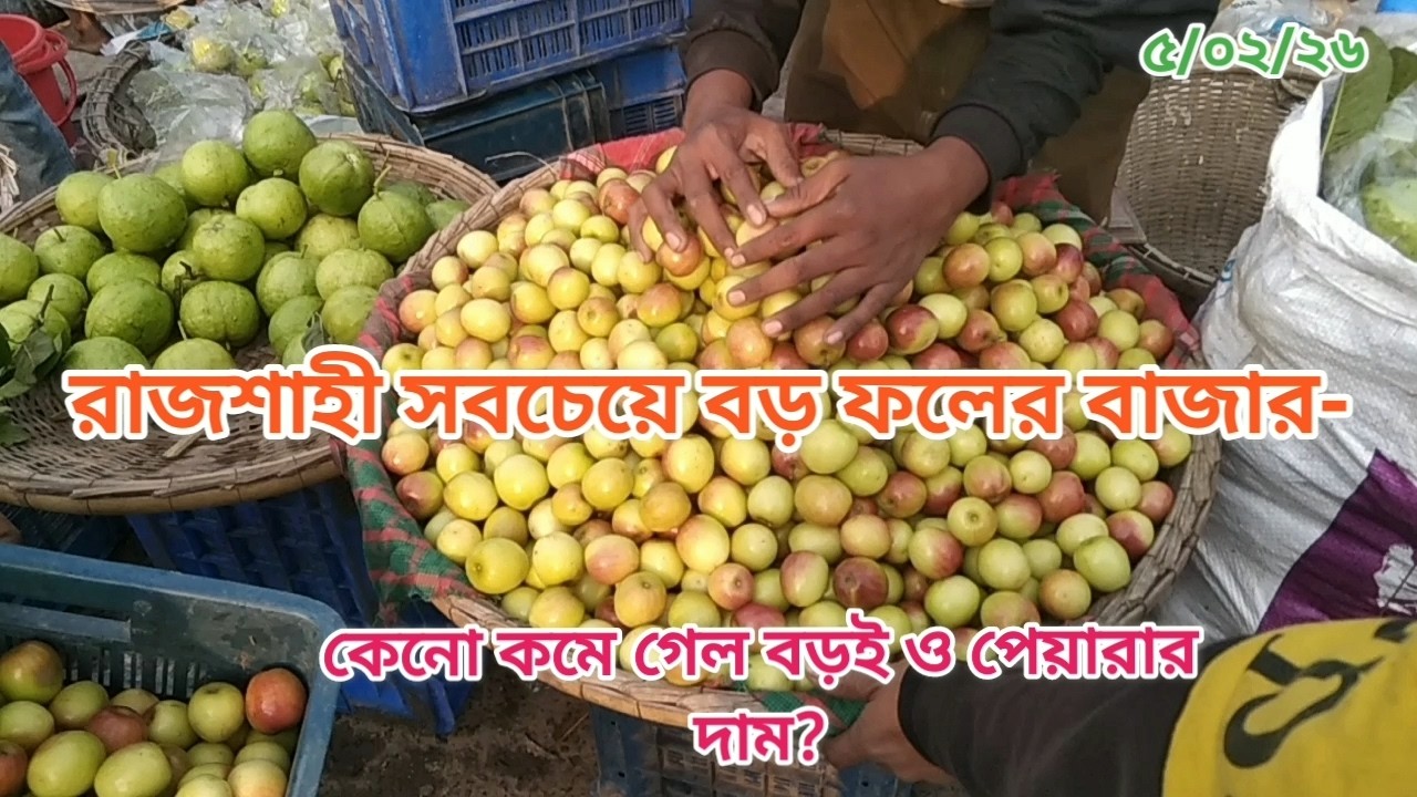 রাজশাহীর **সবচেয়ে বড় ফলের পাইকারি বাজার** খড়খড়ী বাইপাস কাঁচাবাজারে হঠাৎ **ধস নেমেছে**! 🍐🍎