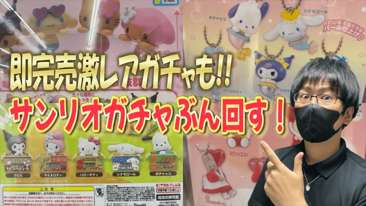 【サンリオ】激レア！即完売したぴょこのるマスコット2もあった！サンリオガチャぶん回したら新たなご縁が・・・!?【Sanrio】