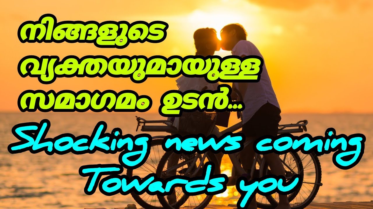 നിങ്ങൾ സ്നേഹിക്കുന്ന വ്യക്തി നിങ്ങളുടെ അടുത്തേക് തിരിച്ചു വരുമോ? #viralvideo #trending #tarotreading