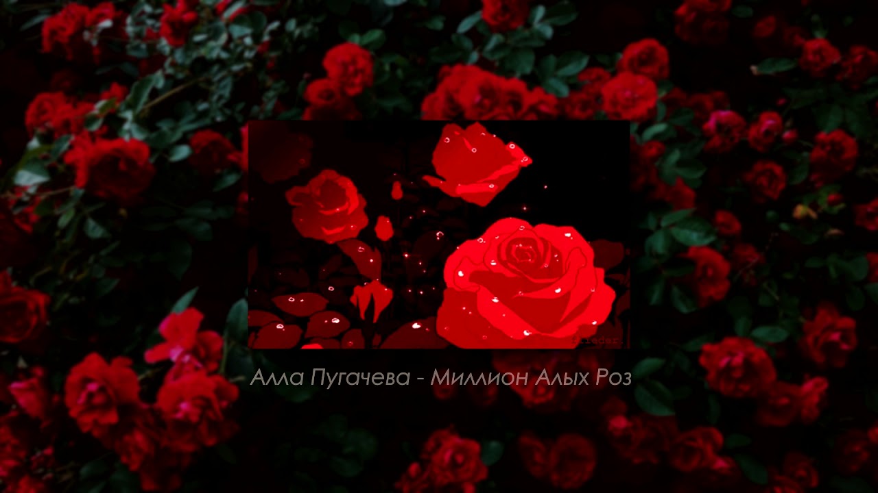 Алла Пугачева - Миллион Алых Роз (slowed & reverb)