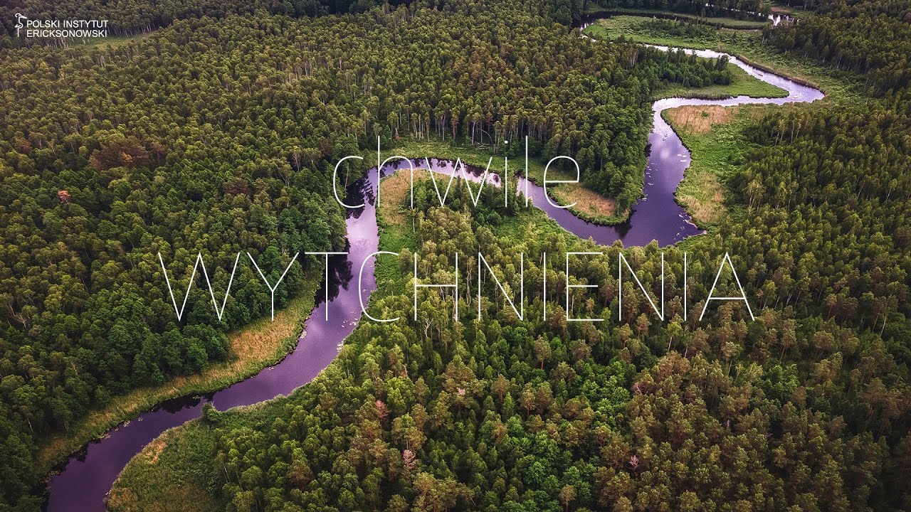 Chwile WYTCHNIENIA:  O orle - Bożenna Wardęszkiewicz