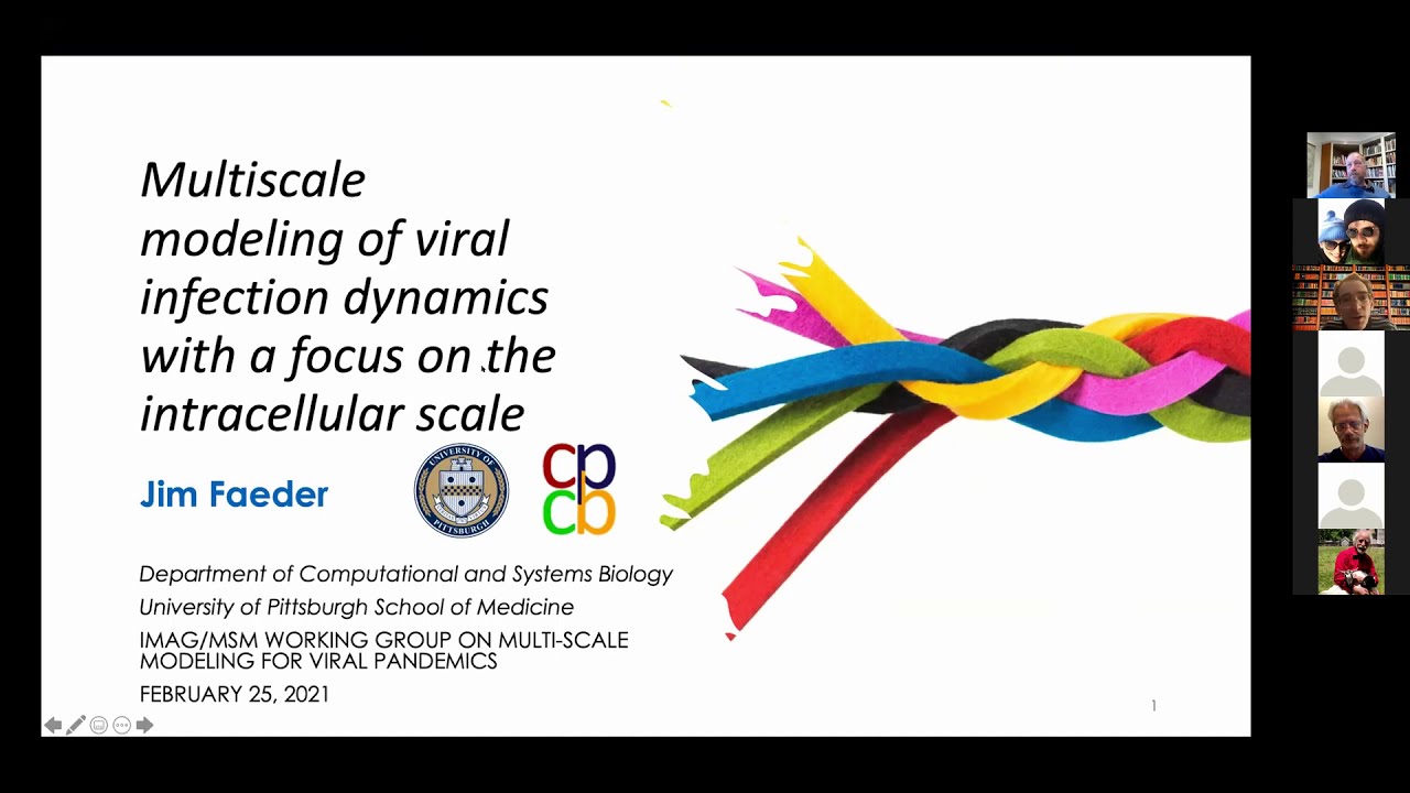 Multiscale modeling of infection dynamics with a focus on the intracellular scale