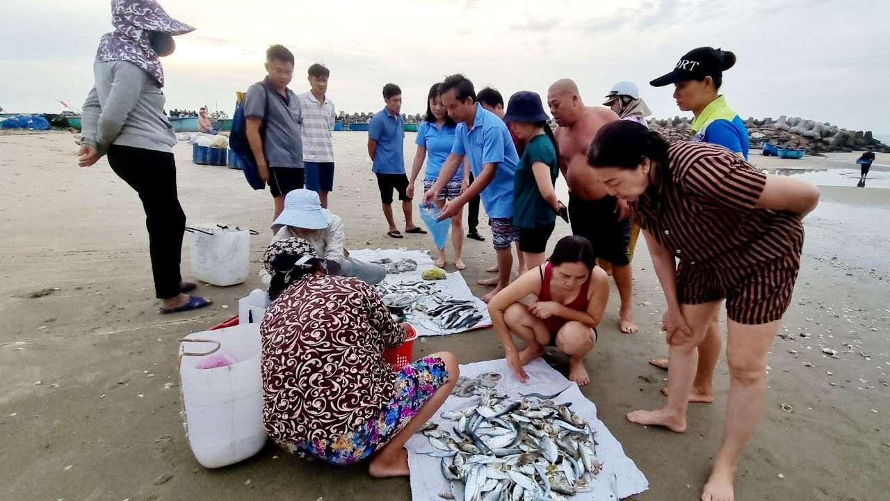 1.12.2024, 5h30 Ngon Lạ CHỢ HẢI SẢN ĐÁ ÔNG ĐỊA Cuối Tuần Phan Thiết Mũi Né