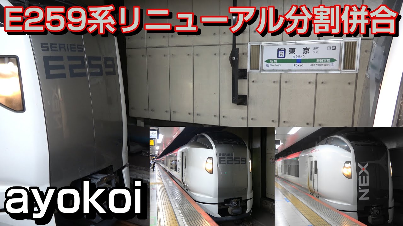 E259系 成田エクスプレス リニューアル新塗装+現行塗装 東京駅分割併合