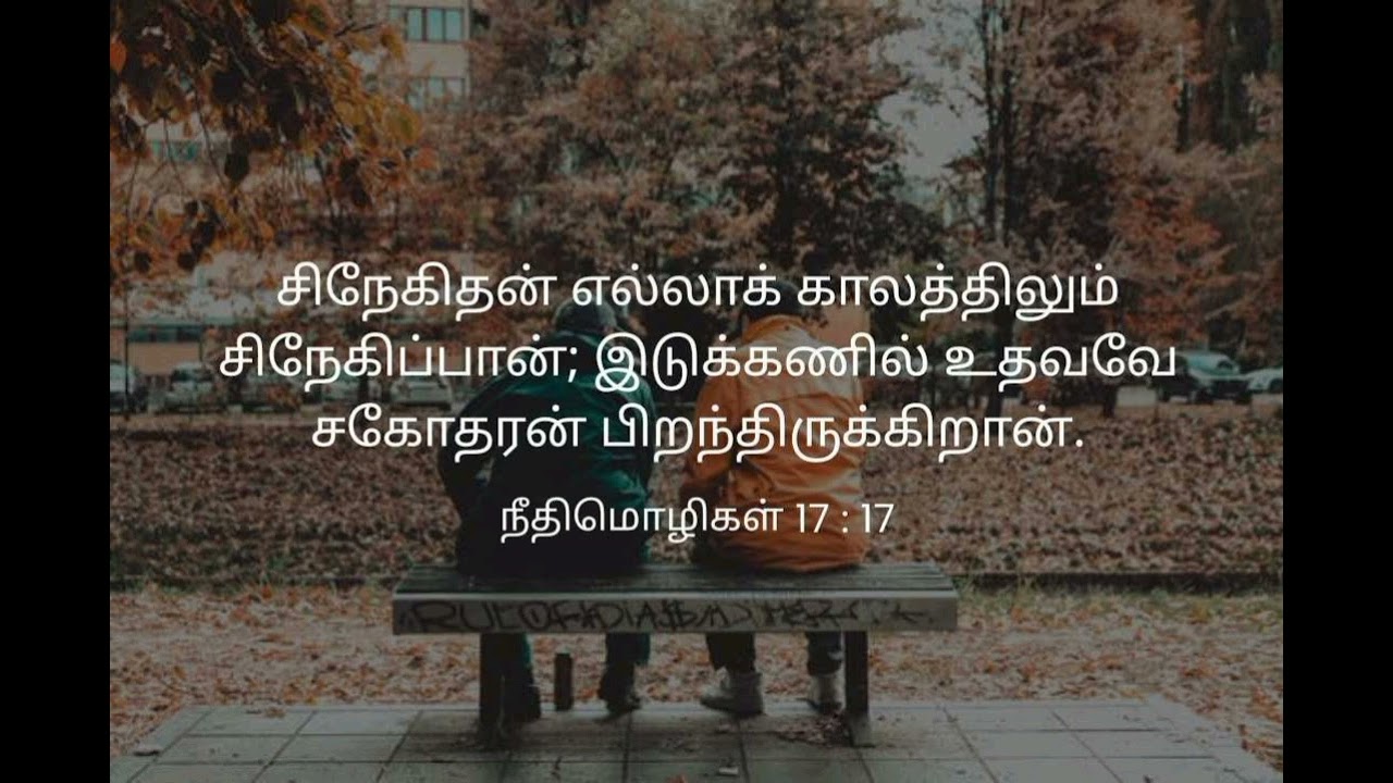 வேதவசனமும் அதன் விளக்கமும் || நீதி மொழிகள் 17:17 || #Bible#Jesus