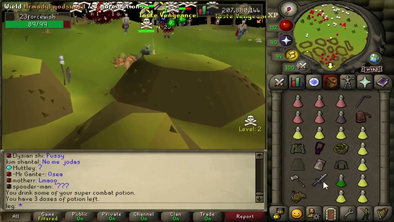 RuneWild RSPS pking #9 leftovers