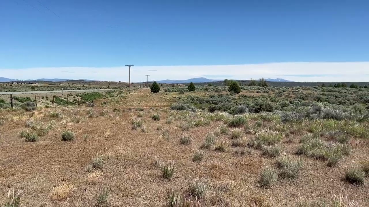 Cheap Land for Sale in California with Power & Dual Frontage | California Pines 2026