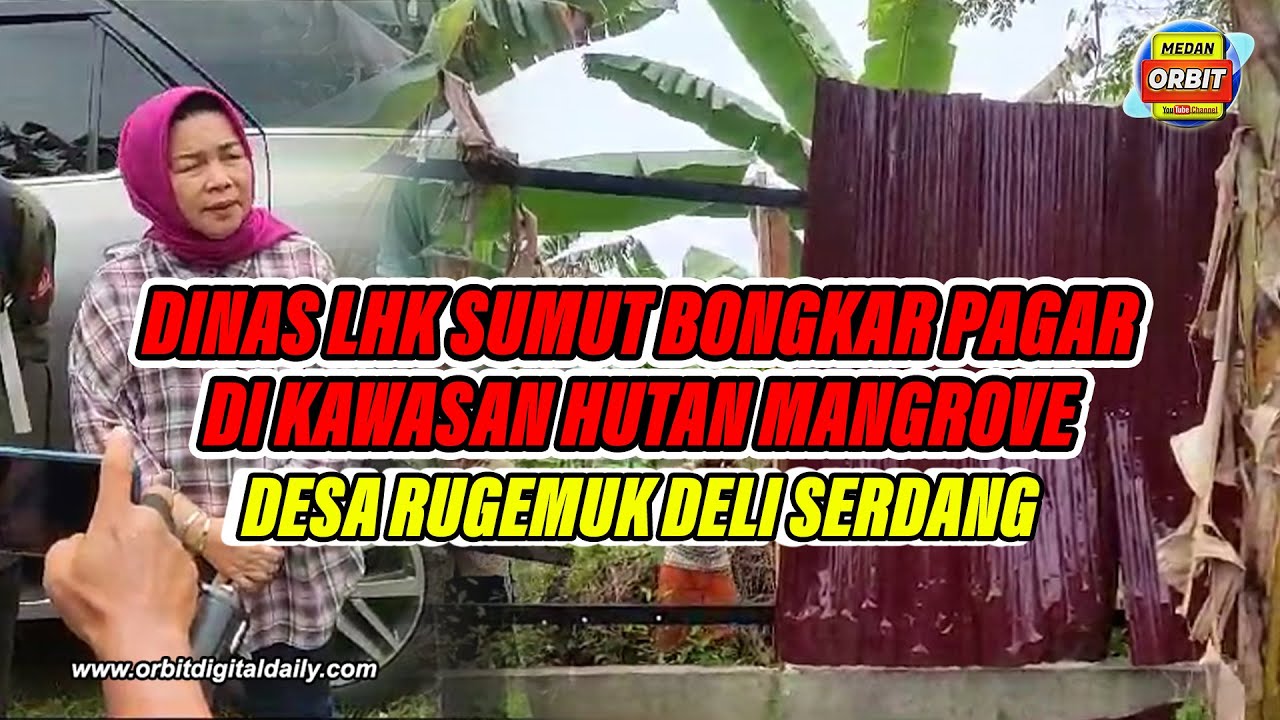 DINAS LHK SUMUT BONGKAR PAGAR DI KAWASAN HUTAN MANGROVE DESA RUGEMUK DELI SERDANG