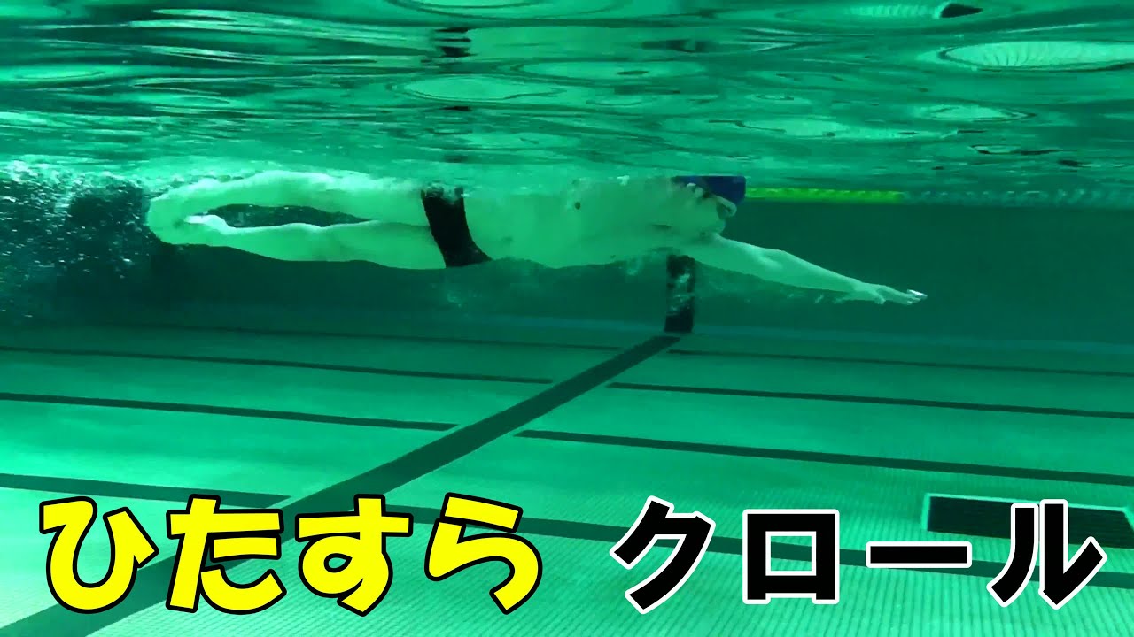 さかなまんが、ひたすら＜クロール＞を泳ぎます！！！！！