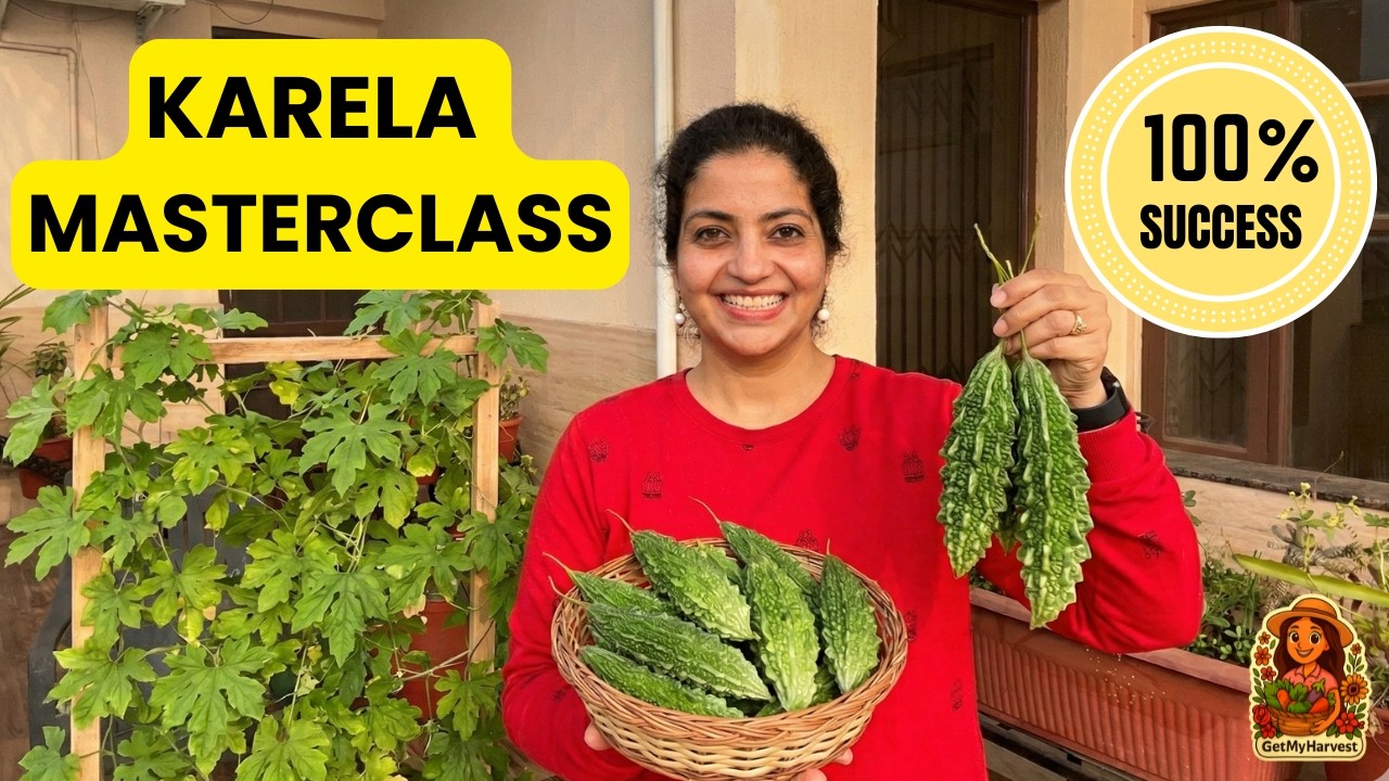Karele Ki Kheti at Home: The Ultimate Bitter Gourd Masterclass in Pots! 🪴✨