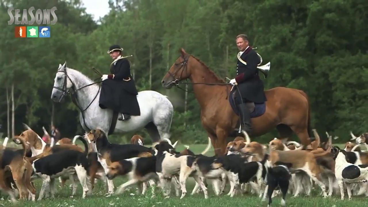 Olivier de la Bouillerie, au service de la Vènerie