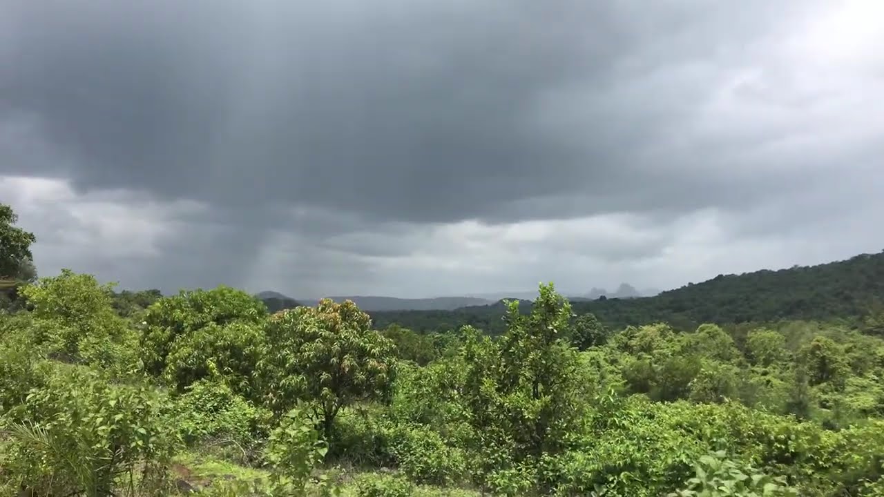Timelapse | Rainfall | Western Ghats | Fungalist | Lab | Grow op 