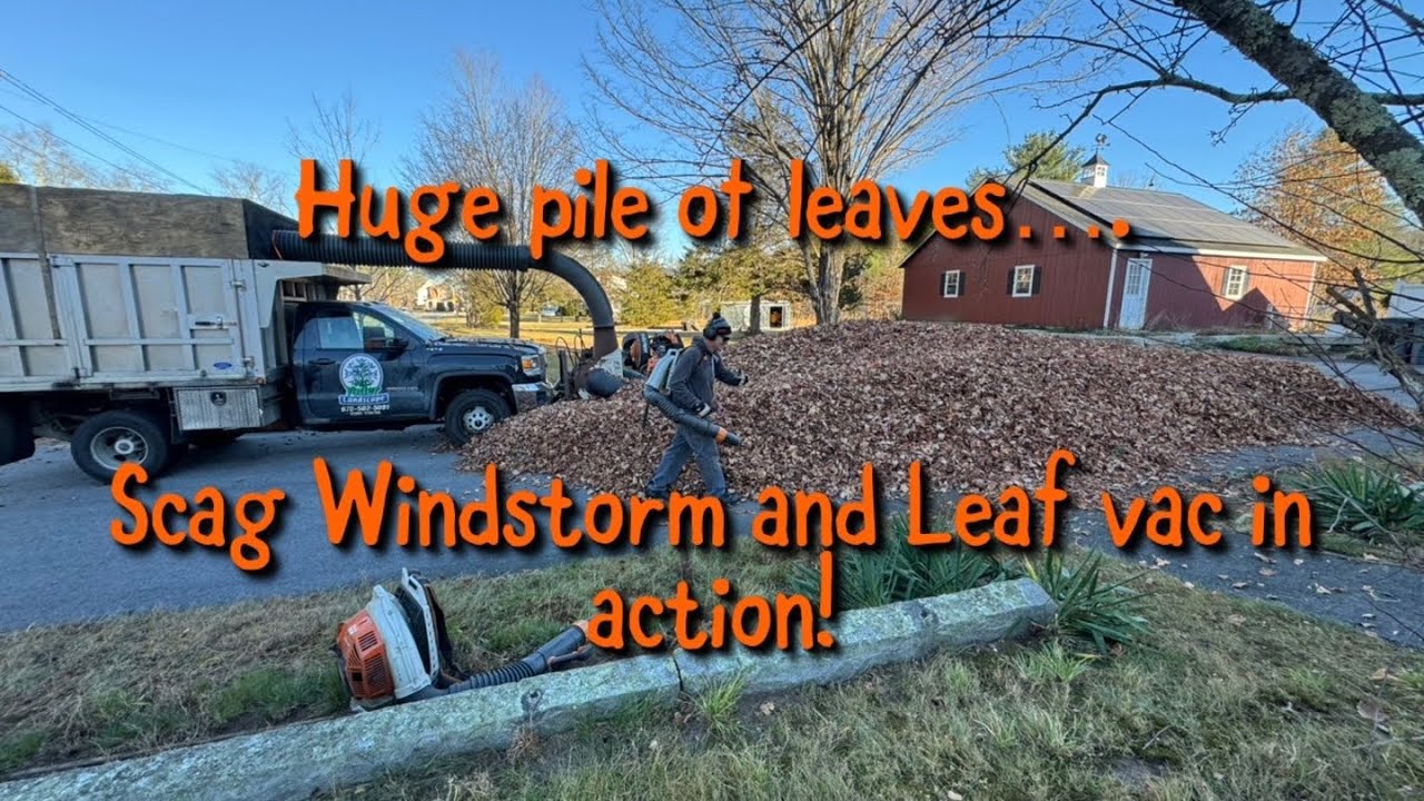 Making Huge Pile of Leaves Disappear