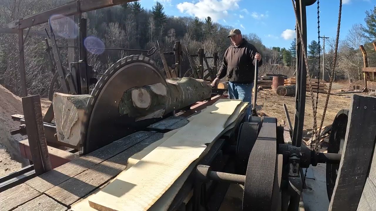 A Species We Have Never Sawed Before or Never Seen Sawed Before