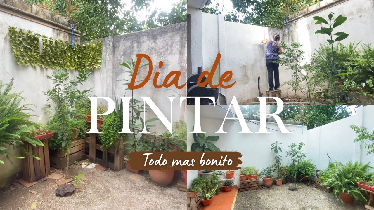 ✨🍃Pintando el patio/ 🪴 ordenado mis plantas/Todo más limpio 🧹