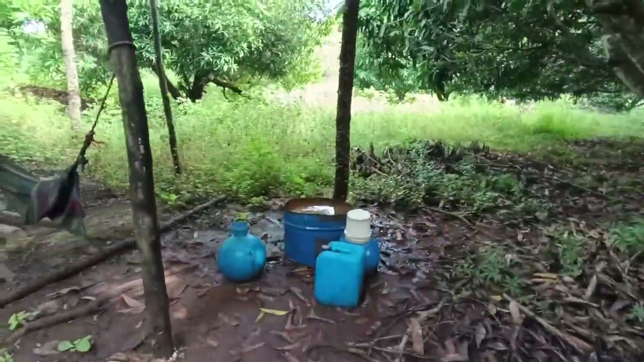 Vídeo 1 Chirilagua Tierra blanca. 