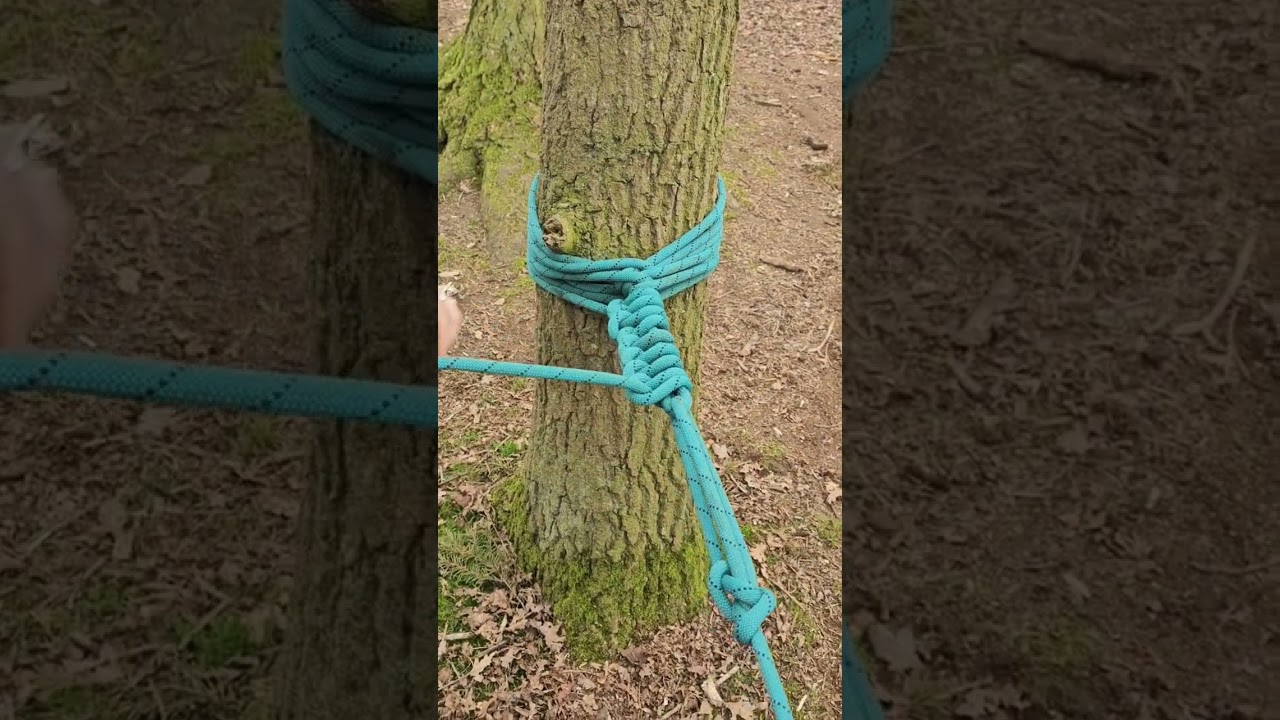 making rope bridges 🌉