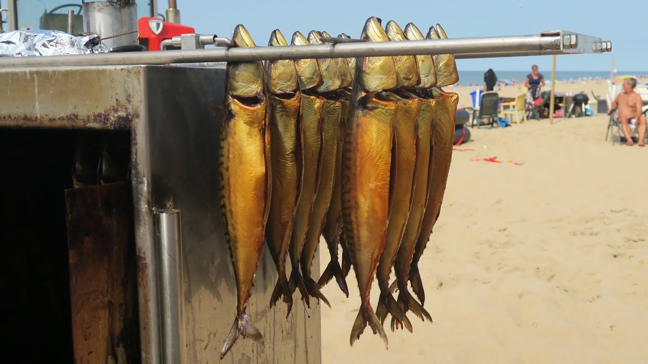 Makrelen roken op het strand